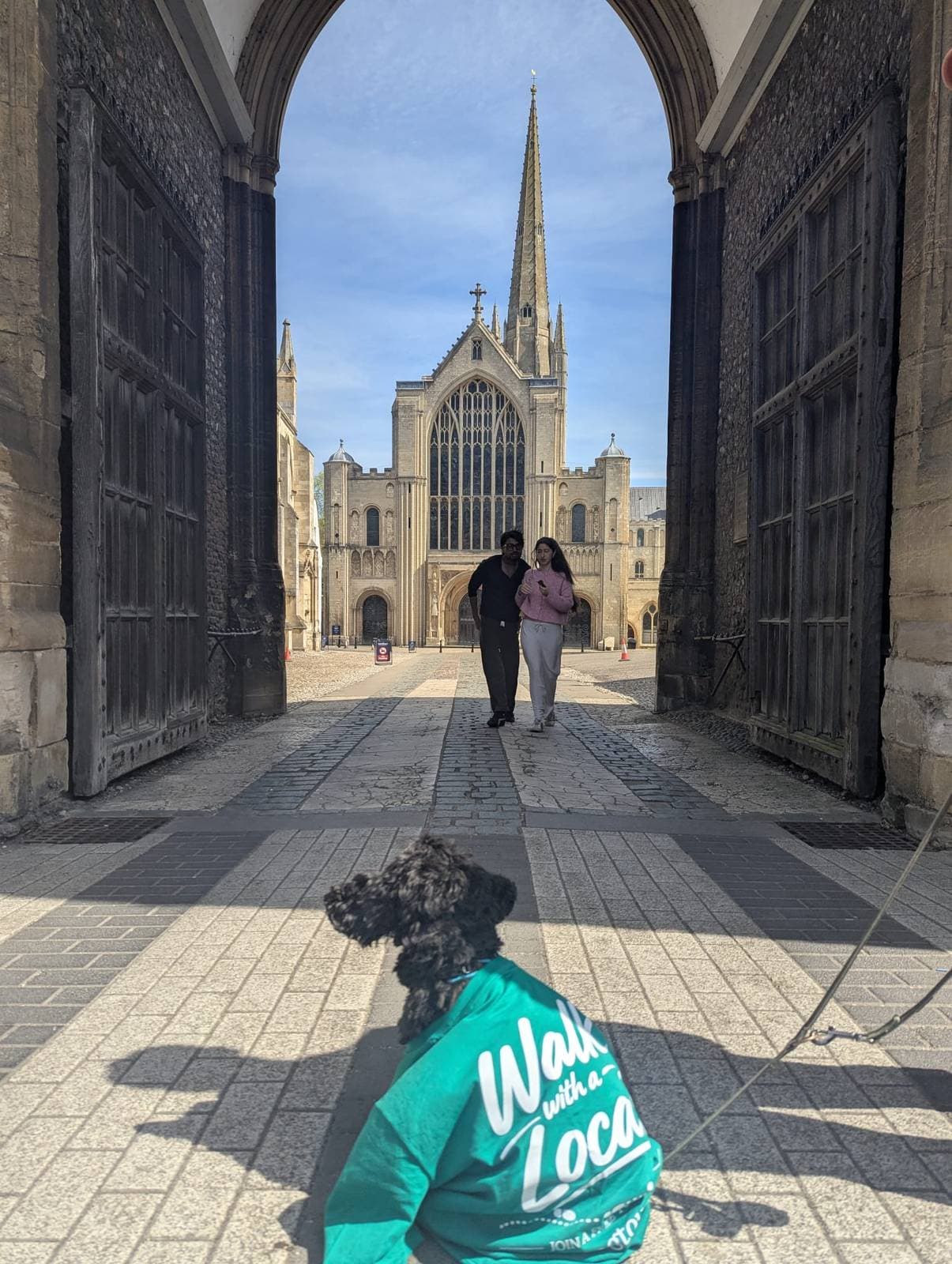 A dog at Erpingham Gate, Norwich. All well-behaved dogs welcome on the Norwich Free Walking Tour.